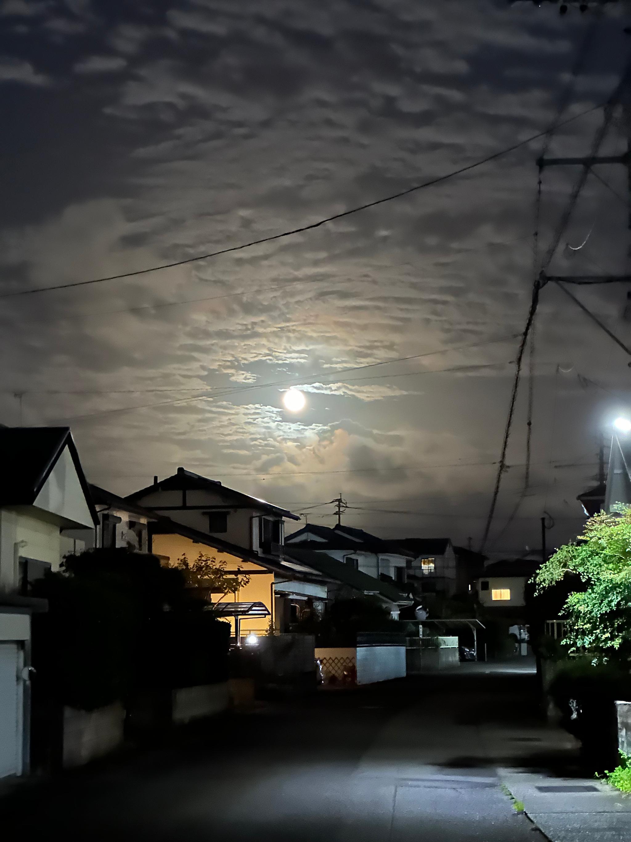 宮崎市で生理の不調にお悩みの方へ|月の満ち欠けと女性のリズムを整えるセルフケア