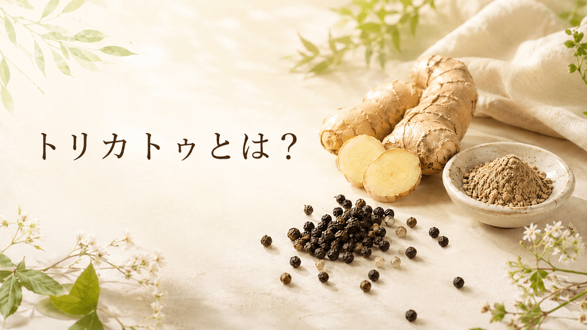 トリカトゥって何?夏バテや食欲不振の方におすすめのスパイス | 宮崎市のアーユルヴェーダサロンMayura