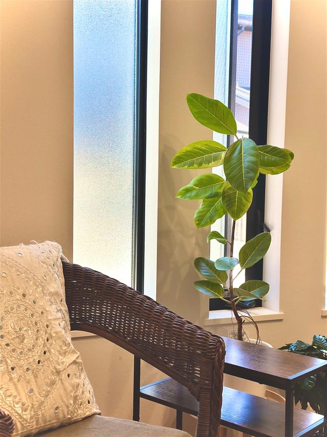 【お客様の声】宮崎のアーユルヴェーダサロン Mayura|初来店されたお客様のご感想